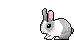 bunny GIF
