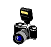 Camera flash GIF